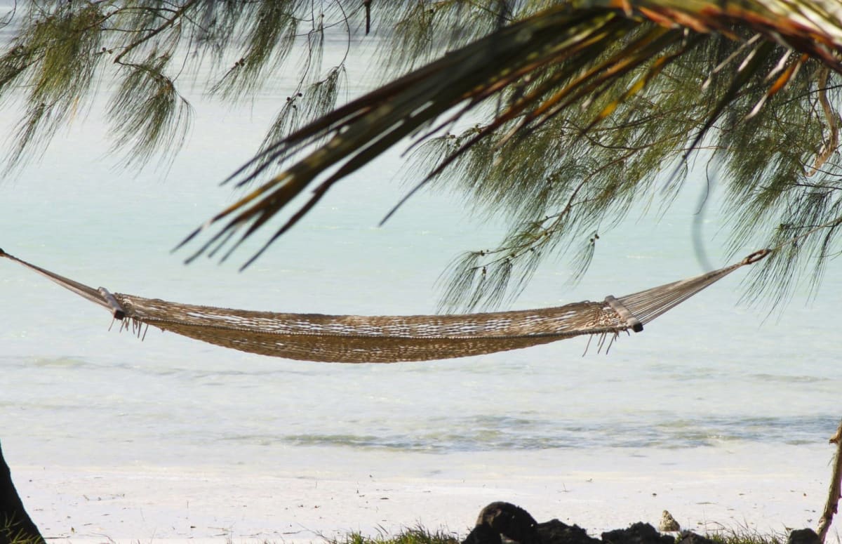 Hammock on the Beach Safarisoko