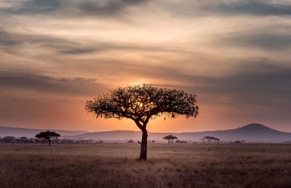 Landscape in Serengeti National Park Safarisoko