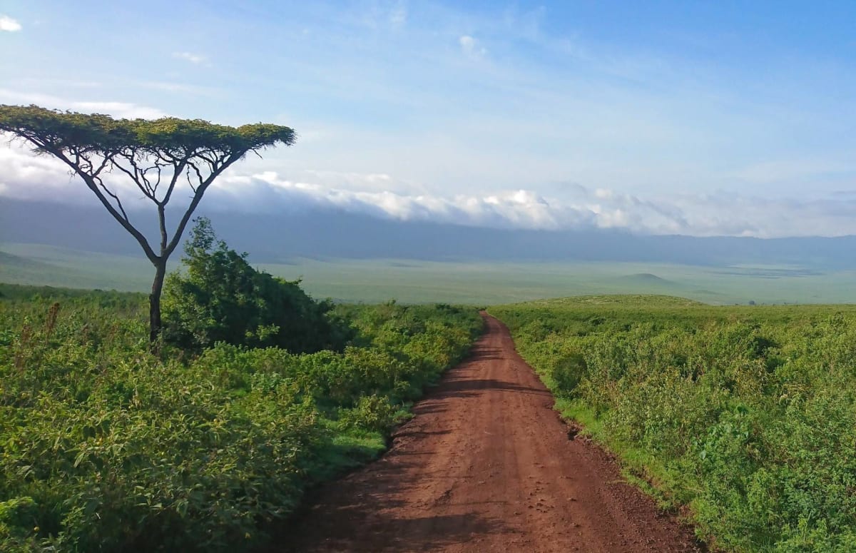 Ngorongoro Crater Landscape Safarisoko