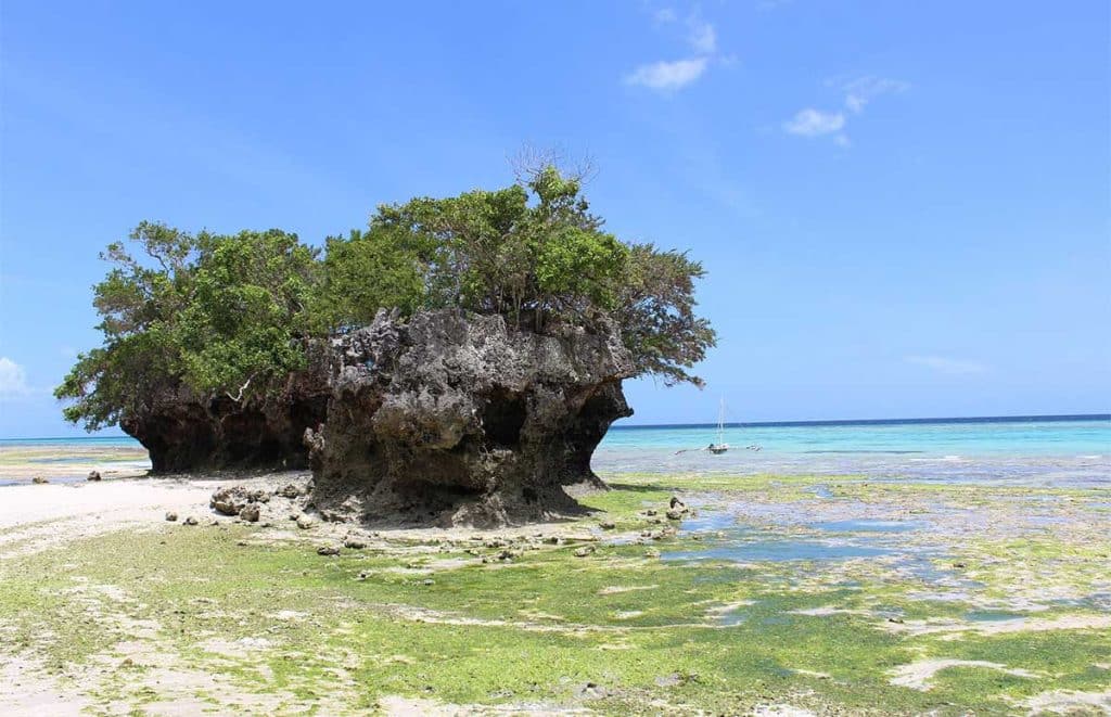 Pemba-Island-Beach-Safarisoko