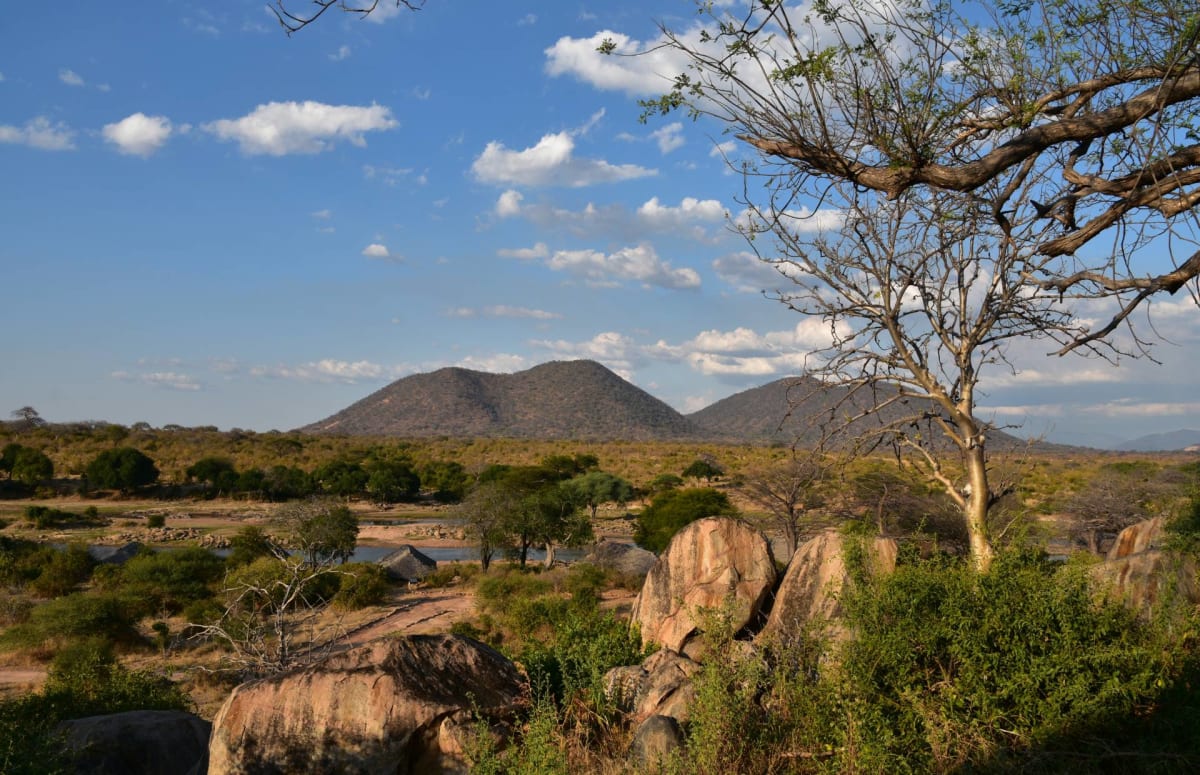 Ruaha National Park Safarisoko