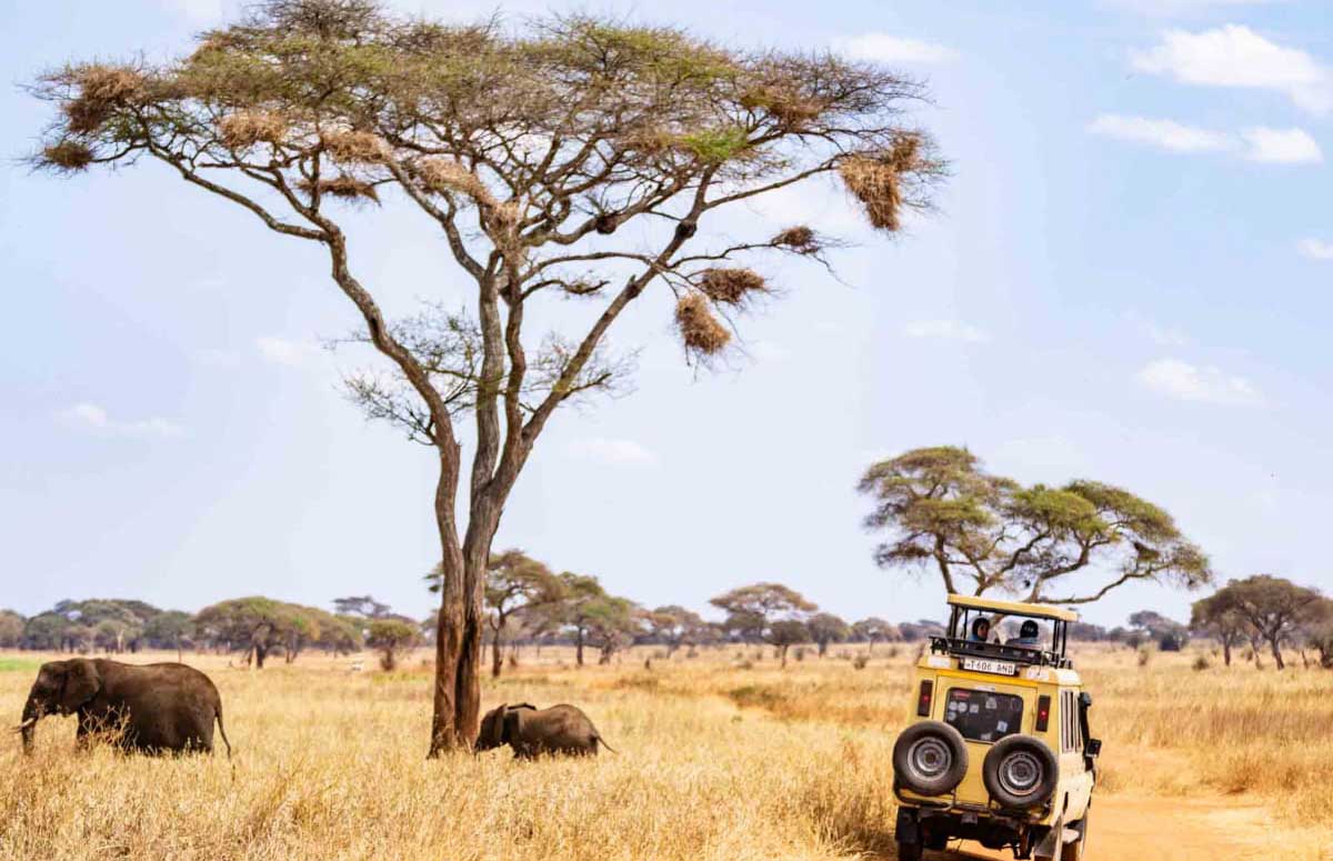 Safari-Vehicle-4x4-In-Serengeti-National-Park-Safarisoko
