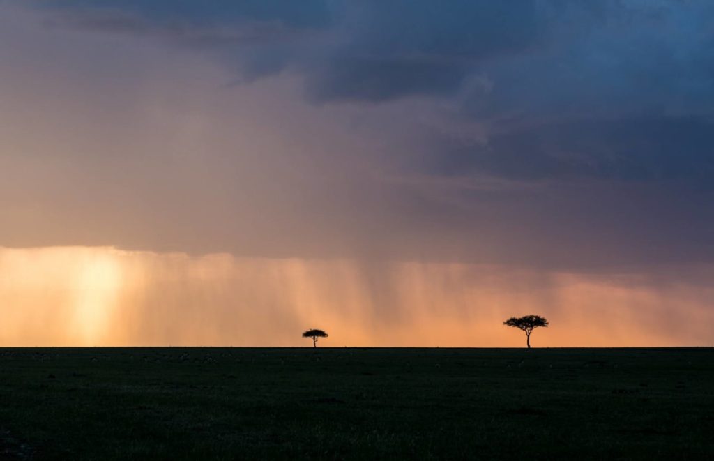 Sunset in Serengeti National Park Safarisoko