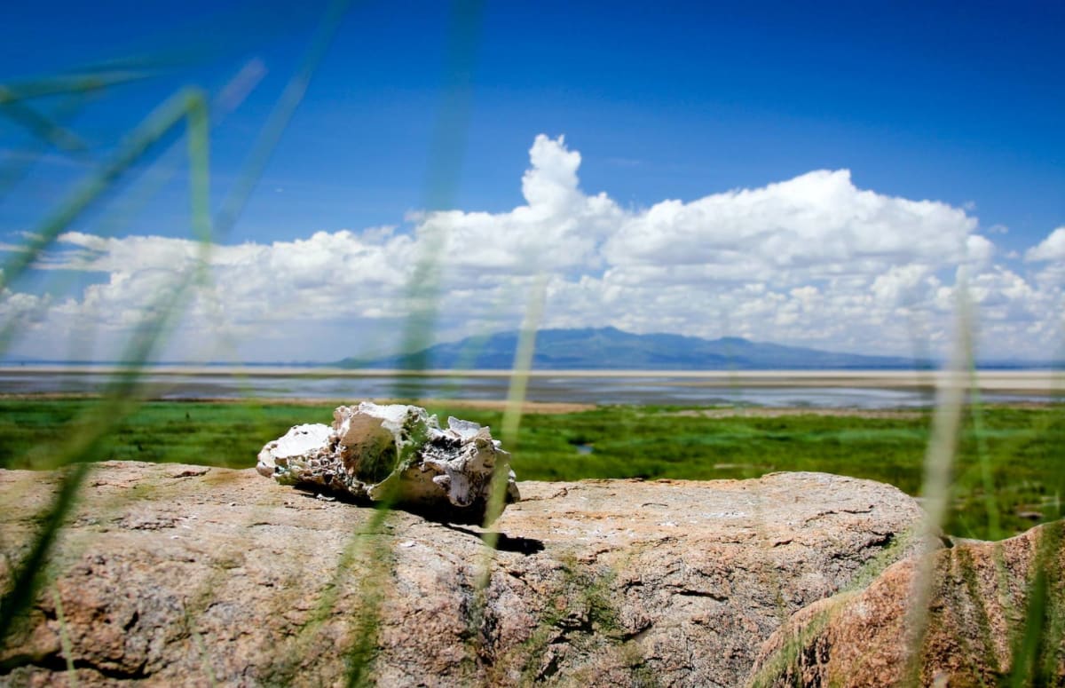 View of Lake Manyara National Park Safarisoko