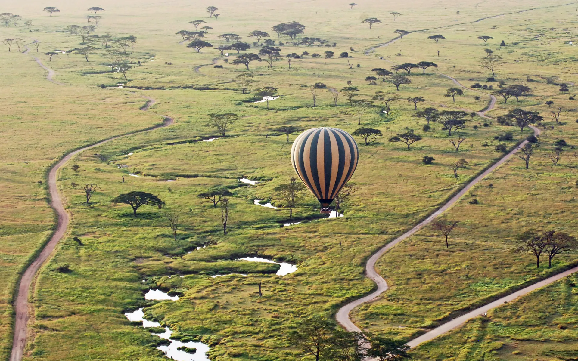 Balloon Safaris In Serengeti National Park Safarisoko