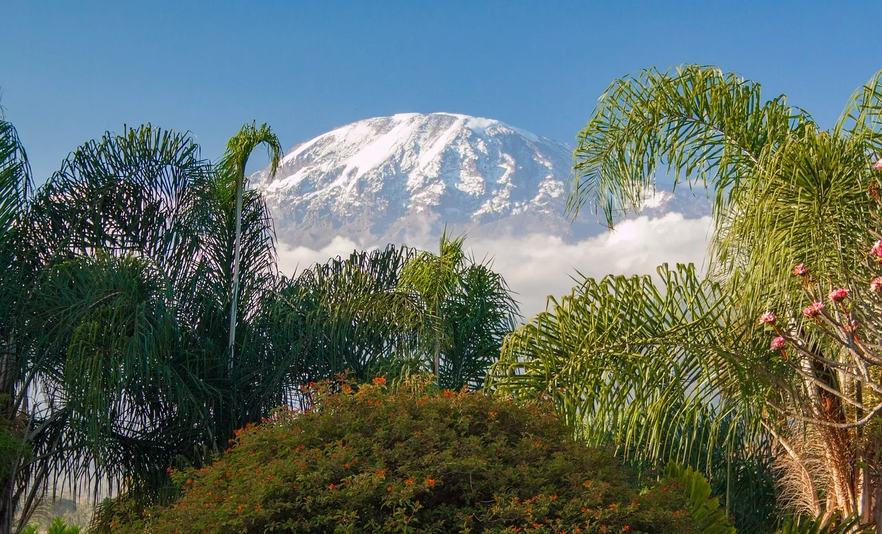 View of Mount Kilimanjaro Snow Peak Safarisoko