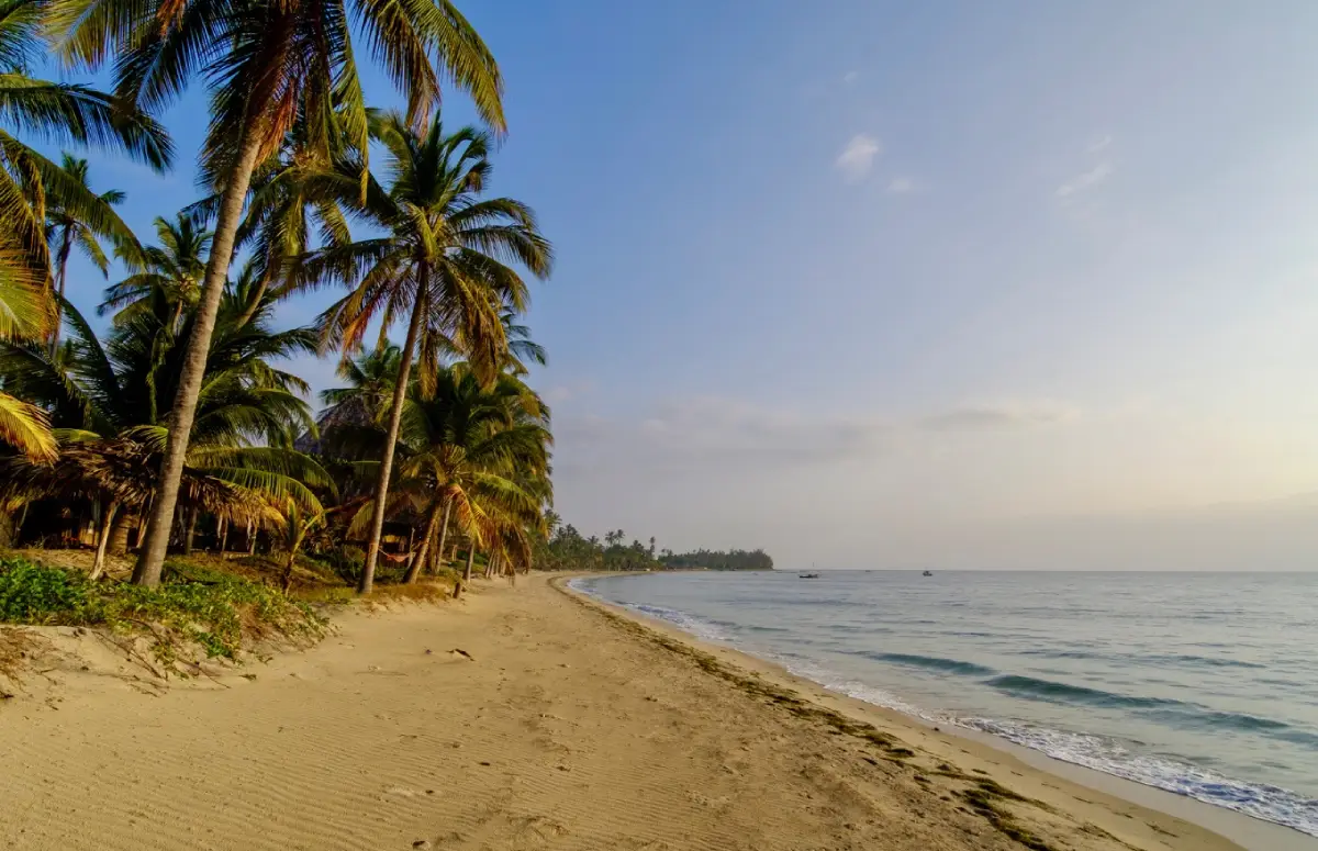 Pangani Beach Tanga Safarisoko