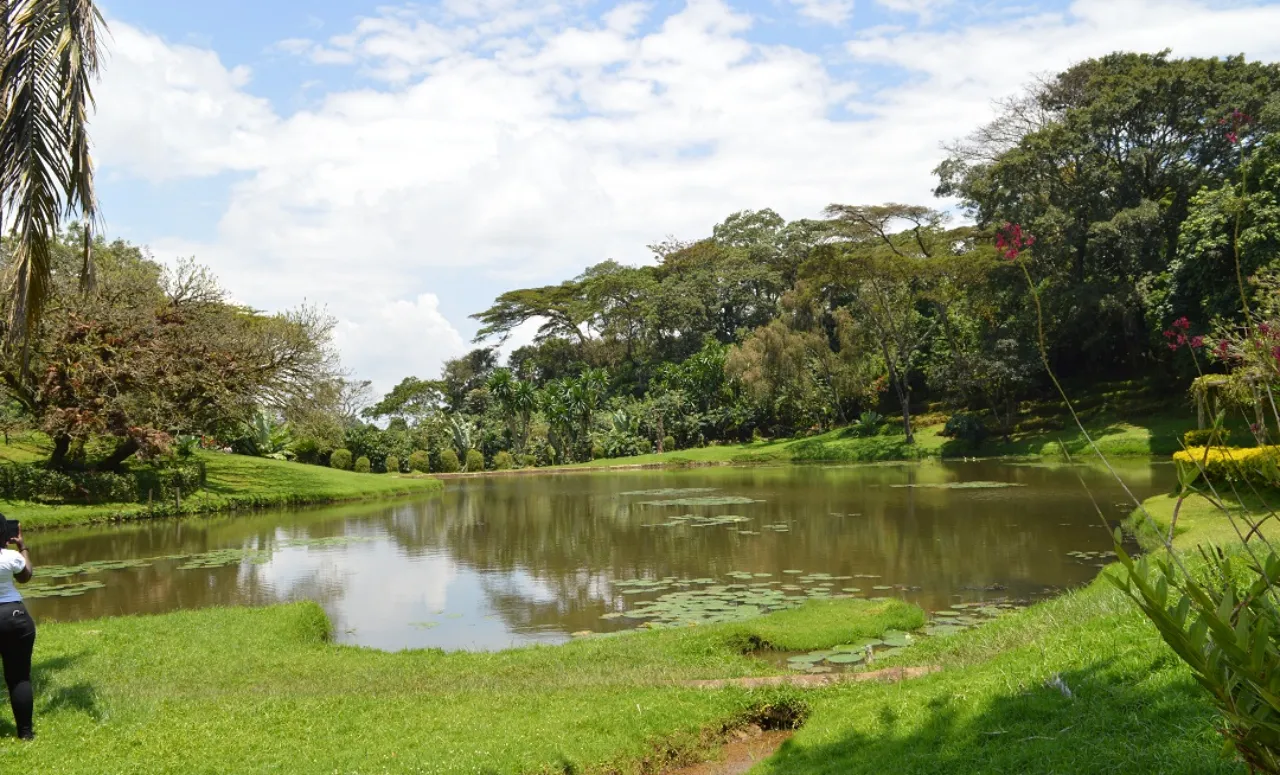 Swamp Green Landscape in Eldoret Safarisoko